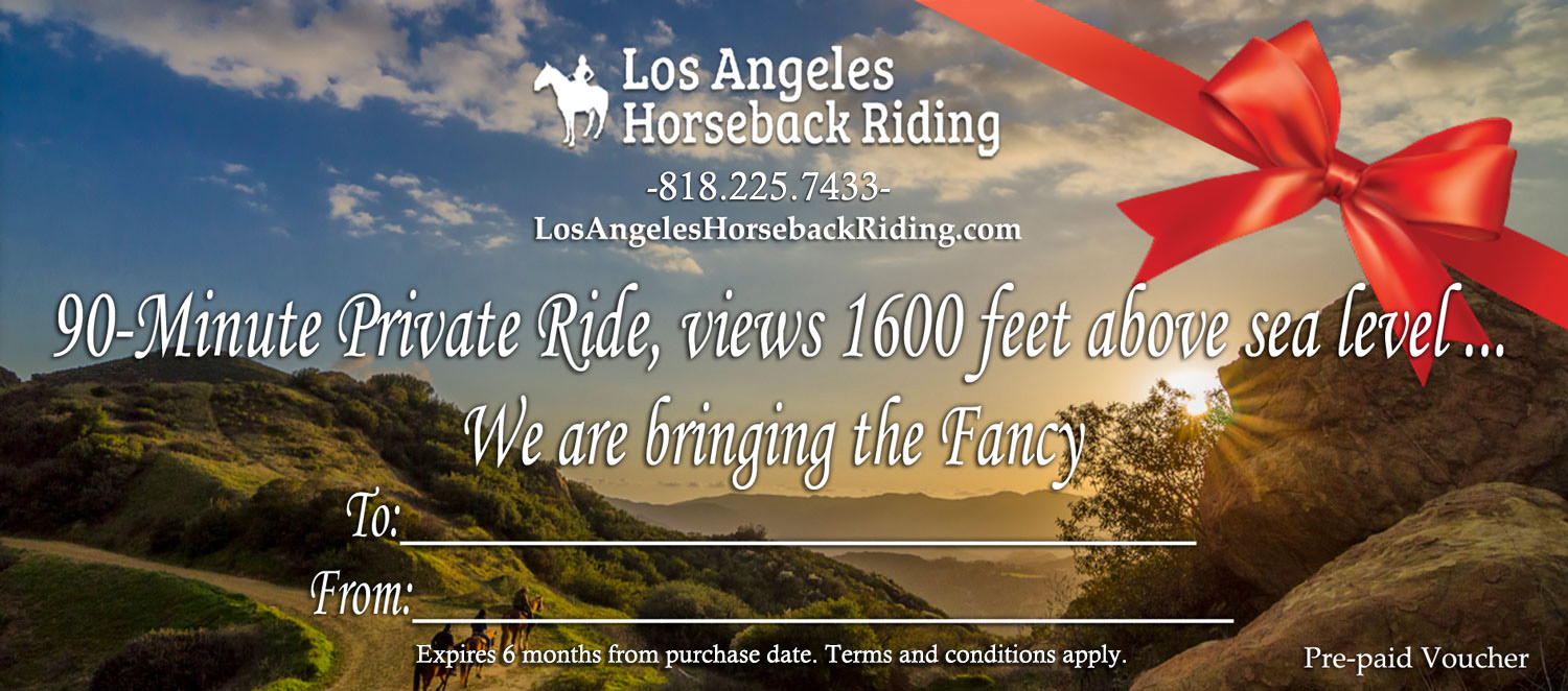 Private-ride-with-bow