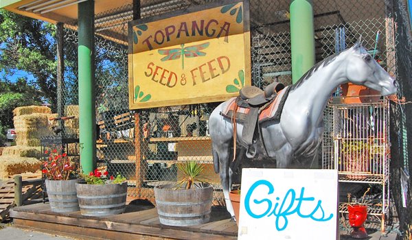 Feed and seed