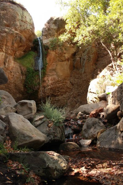 owl falls